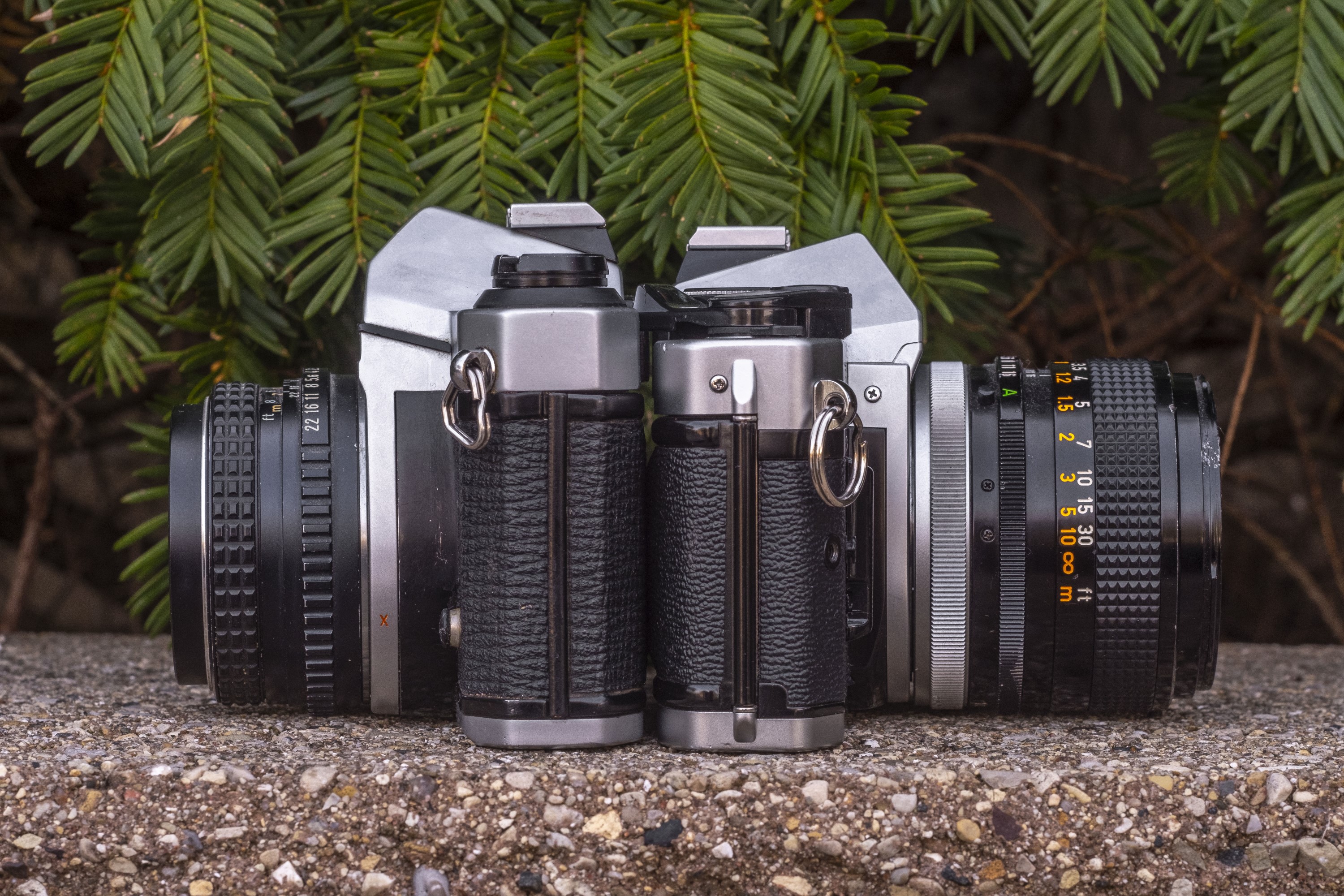 Student Camera Showdown: Canon AE-1 Program vs Pentax K1000 - mike 