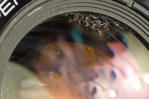 This is a common example of lens fungus showing it growing around the edge of the lens. Some fungus may be on the inside elements too, so its not always as obvious as this. If you Google "lens fungus" you'll can see many other examples of extreme cases of fungus.