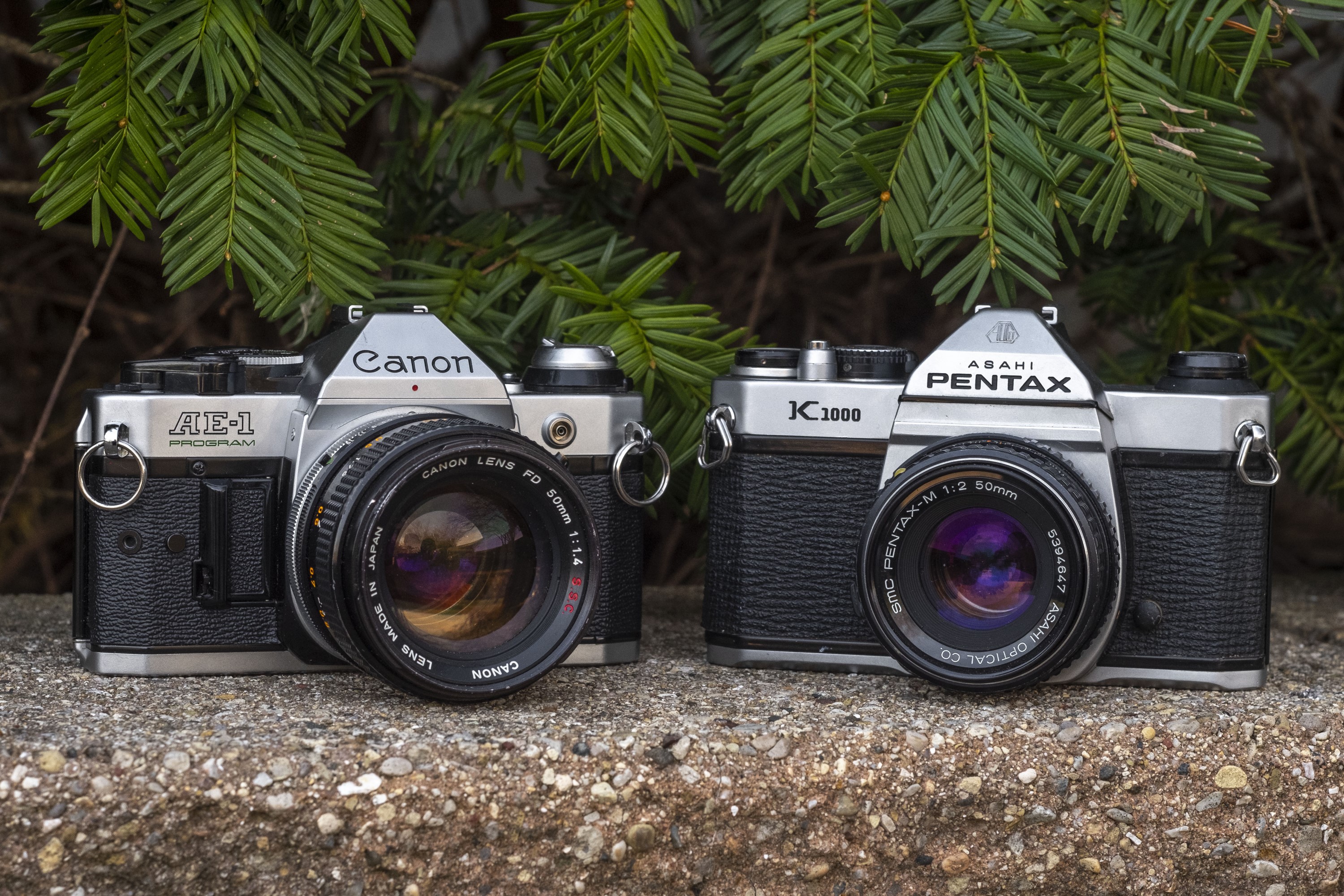 Student Camera Showdown: Canon AE-1 Program vs Pentax K1000