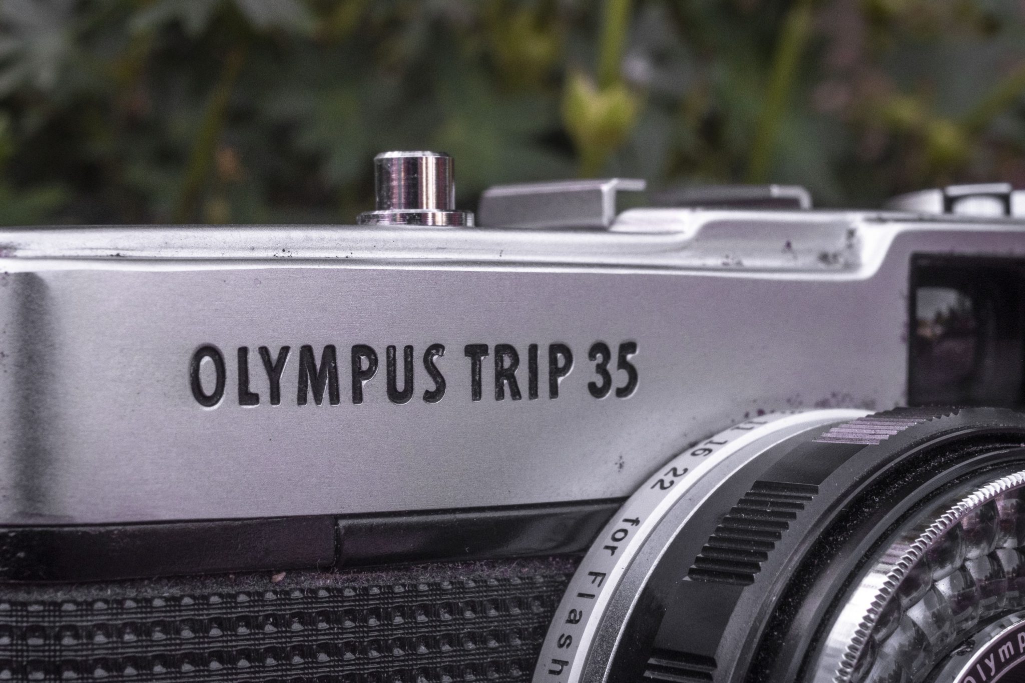 olympus trip wiki